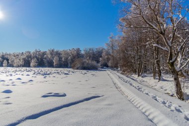 Schwarzen Mağribi yakınlarındaki Rhn 'de Kış Keşif Turu