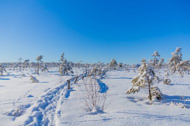 Schwarzen Mağribi yakınlarındaki Rhn 'de Kış Keşif Turu
