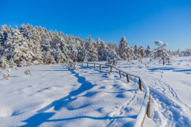 Schwarzen Mağribi yakınlarındaki Rhn 'de Kış Keşif Turu