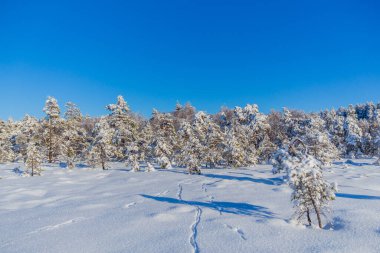 Schwarzen Mağribi yakınlarındaki Rhn 'de Kış Keşif Turu
