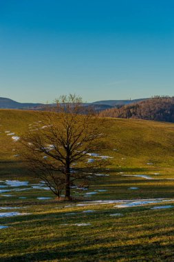 Schmalkalden 'in güzel şehri Thüringen, Almanya' da bahar yürüyüşü