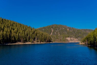 Spring walk around the narrow water dam in the Thuringian Forest - Ohratalsperre - Germany