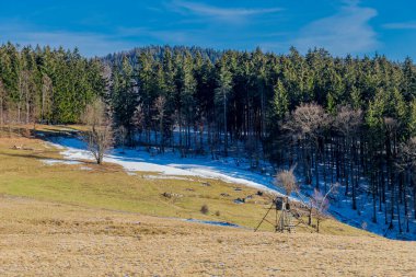 Schmalkalden - Thüringen - Almanya 'nın güzel doğasında bahar yürüyüşü