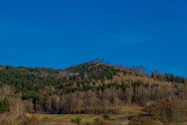 Schmalkalden - Thüringen - Almanya 'nın güzel doğasında bahar yürüyüşü