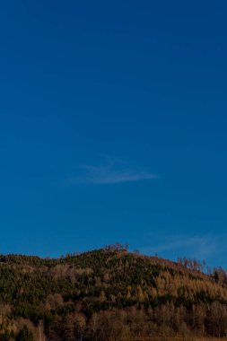 Schmalkalden - Thüringen - Almanya 'nın güzel doğasında bahar yürüyüşü