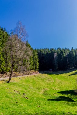 Schmalkalden 'in güzel şehri Thüringen, Almanya' da bahar yürüyüşü