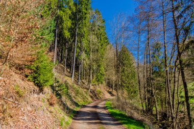 Schmalkalden 'in güzel şehri Thüringen, Almanya' da bahar yürüyüşü
