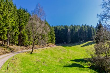 Schmalkalden 'in güzel şehri Thüringen, Almanya' da bahar yürüyüşü