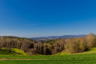Schmalkalden 'in güzel şehri Thüringen, Almanya' da bahar yürüyüşü