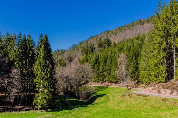 Весенняя Прогулка Прекрасному Городу Шмальфеден Тюрингия Германия — стоковое фото