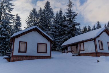 Thüringen Ormanı boyunca farklı yerlerde kış yürüyüşü - Almanya