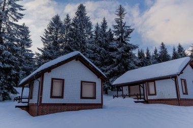 Thüringen Ormanı boyunca farklı yerlerde kış yürüyüşü - Almanya
