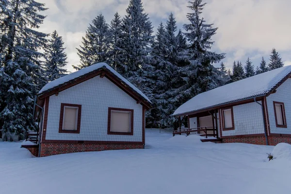 Invierno Senderismo Diferentes Lugares Través Del Bosque Turingia Alemania — Foto de Stock