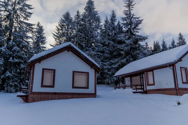 Invierno Senderismo Diferentes Lugares Través Del Bosque Turingia Alemania — Foto de Stock