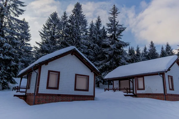 Caminhadas Inverno Diferentes Lugares Através Floresta Turíngia Alemanha — Fotografia de Stock