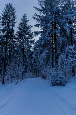Thüringen Ormanı boyunca farklı yerlerde kış yürüyüşü - Almanya