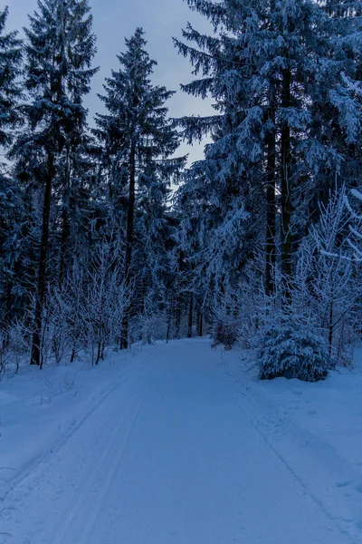 Χειμερινή Πεζοπορία Διάφορα Μέρη Μέσα Από Δάσος Της Θουριγγίας Γερμανία — Φωτογραφία Αρχείου