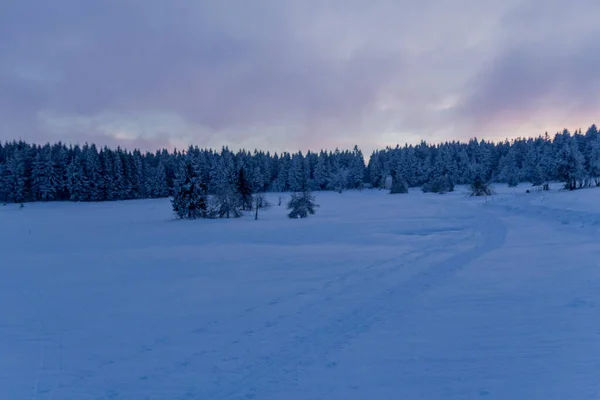 Winterwandern Verschiedenen Orten Durch Den Thüringer Wald Deutschland — Stockfoto