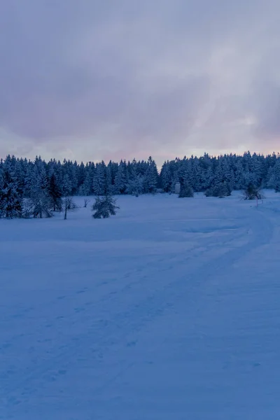 Randonnée Hivernale Dans Différents Endroits Travers Forêt Thuringe Allemagne — Photo