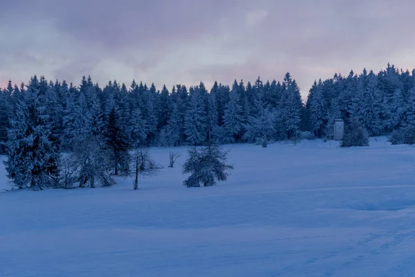 Caminhadas Inverno Diferentes Lugares Através Floresta Turíngia Alemanha — Fotografia de Stock