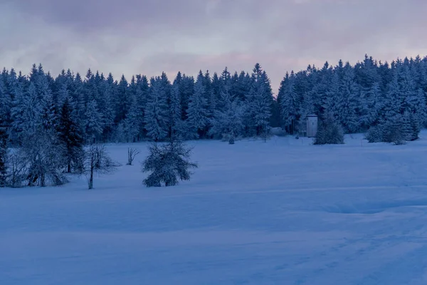Caminhadas Inverno Diferentes Lugares Através Floresta Turíngia Alemanha — Fotografia de Stock
