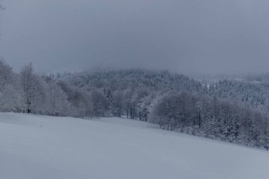 Thüringen Ormanı boyunca farklı yerlerde kış yürüyüşü - Almanya