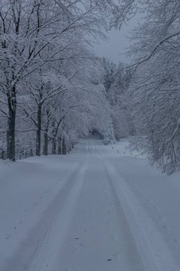 Thüringen Ormanı boyunca farklı yerlerde kış yürüyüşü - Almanya
