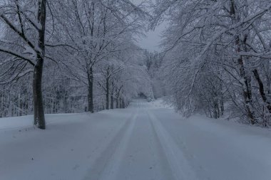 Thüringen Ormanı boyunca farklı yerlerde kış yürüyüşü - Almanya
