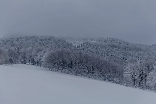 Invierno Senderismo Diferentes Lugares Través Del Bosque Turingia Alemania — Foto de Stock