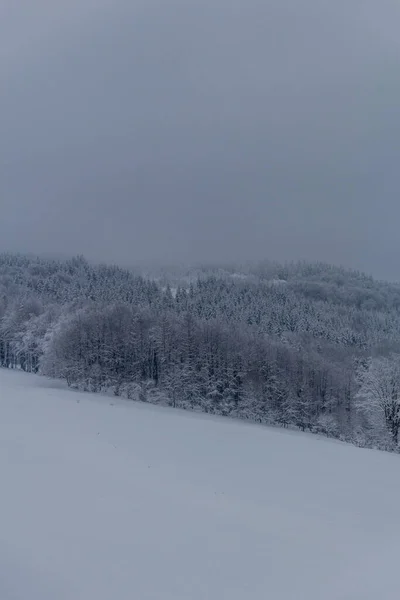 Randonnée Hivernale Dans Différents Endroits Travers Forêt Thuringe Allemagne — Photo