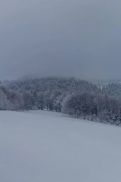 Caminhadas Inverno Diferentes Lugares Através Floresta Turíngia Alemanha — Fotografia de Stock