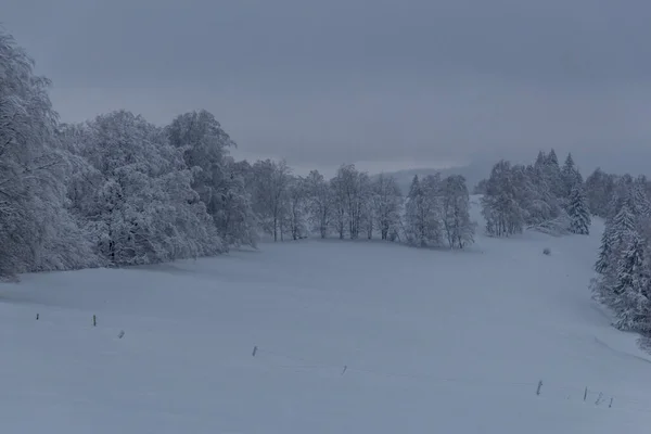 Invierno Senderismo Diferentes Lugares Través Del Bosque Turingia Alemania — Foto de Stock