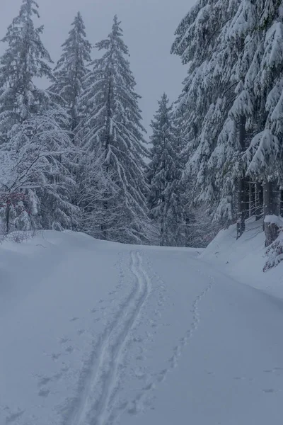 Winterwandern Verschiedenen Orten Durch Den Thüringer Wald Deutschland — Stockfoto