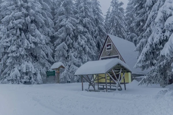 Invierno Senderismo Diferentes Lugares Través Del Bosque Turingia Alemania —  Fotos de Stock