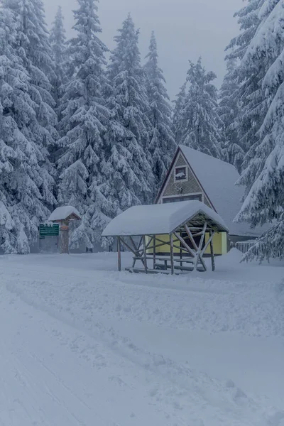 Invierno Senderismo Diferentes Lugares Través Del Bosque Turingia Alemania — Foto de Stock