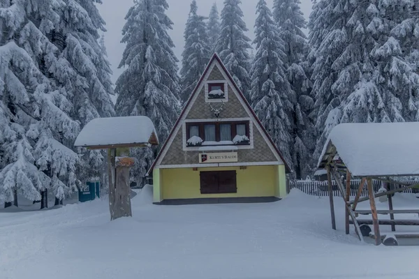 Invierno Senderismo Diferentes Lugares Través Del Bosque Turingia Alemania —  Fotos de Stock