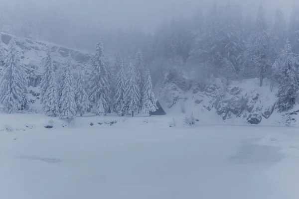 Зимние Походы Разных Местах Через Тюрингский Лес Германия — стоковое фото