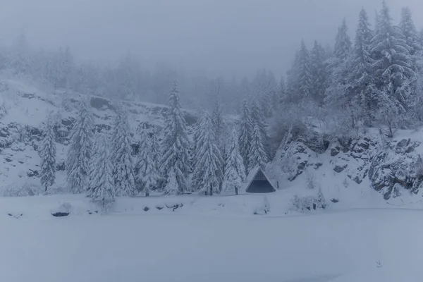 Зимовий Туризм Різних Місцях Через Туринзький Ліс Німеччина — стокове фото
