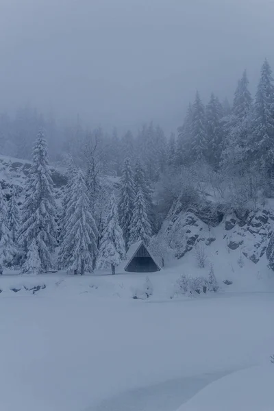 Winterwandern Verschiedenen Orten Durch Den Thüringer Wald Deutschland — Stockfoto