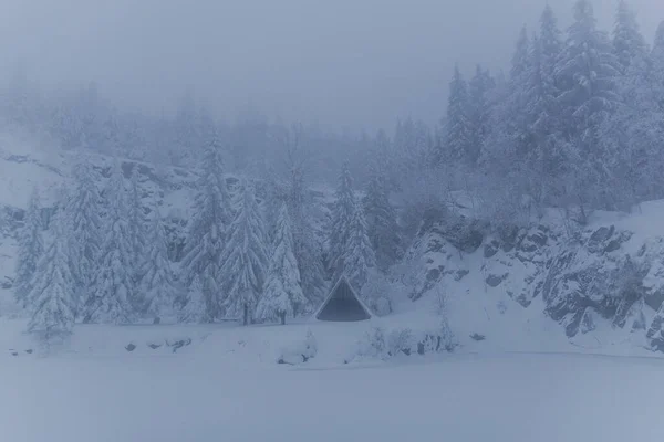 Randonnée Hivernale Dans Différents Endroits Travers Forêt Thuringe Allemagne — Photo