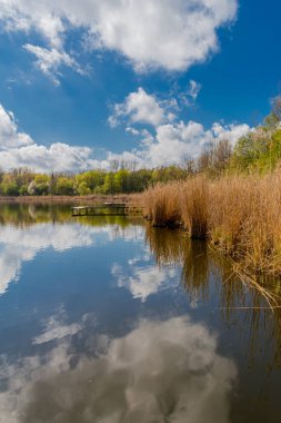 Güzel Werratal boyunca bahar gezisi. - Breitungen / Seeblick