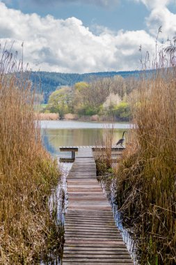Güzel Werratal boyunca bahar gezisi. - Breitungen / Seeblick