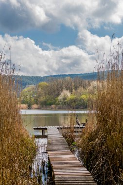 Güzel Werratal boyunca bahar gezisi. - Breitungen / Seeblick