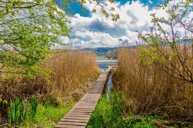 Güzel Werratal boyunca bahar gezisi. - Breitungen / Seeblick
