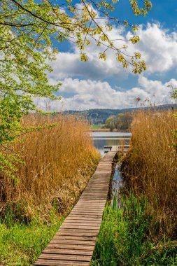 Güzel Werratal boyunca bahar gezisi. - Breitungen / Seeblick
