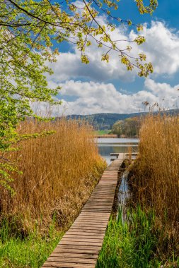 Güzel Werratal boyunca bahar gezisi. - Breitungen / Seeblick