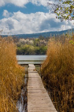 Güzel Werratal boyunca bahar gezisi. - Breitungen / Seeblick