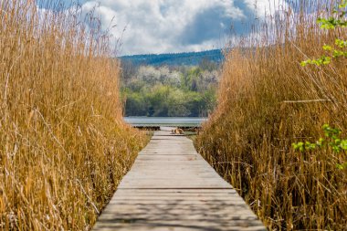 Güzel Werratal boyunca bahar gezisi. - Breitungen / Seeblick