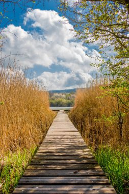 Güzel Werratal boyunca bahar gezisi. - Breitungen / Seeblick