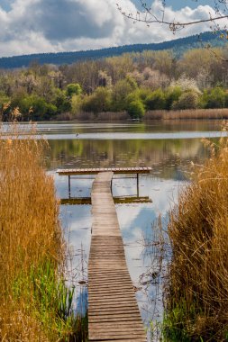 Güzel Werratal boyunca bahar gezisi. - Breitungen / Seeblick